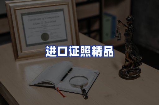进口证件页面制证